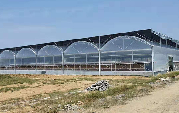 泊头市恒峰温室设施有限公司