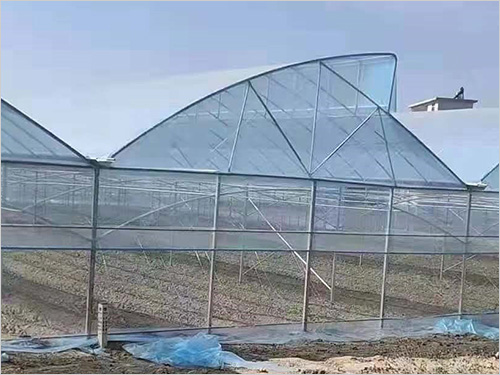 连栋温室