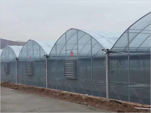 连栋温室