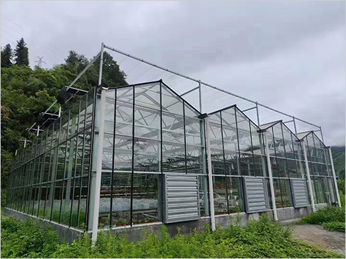 玻璃温室发展前景